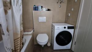 un piccolo bagno con lavatrice e servizi igienici di Banja Luka apartment a Banja Luka