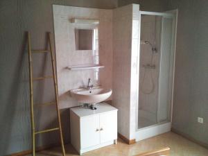 a bathroom with a sink and a shower at Gîte du vigneron in Mittelwihr