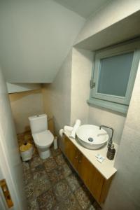 a small bathroom with a toilet and a sink at Villa Calliope in Kalymnos