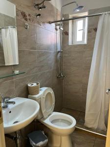 y baño con aseo, lavabo y ducha. en Maro's Apartments, en Argostoli