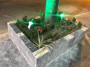 Pousada Las Palmas في غوارويا: إشارة المرور خضراء مع وجود طير في حديقة الزهور