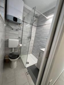 uma casa de banho com um WC e uma cabina de duche em vidro. em Mira apartman em Zamárdi