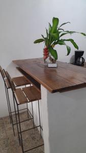 un tavolo di legno con una pianta in vaso sopra di Miss Magi cahuita rooms a Cahuita