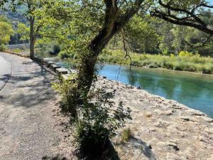 een boom aan de kant van een rivier bij Bâtisse Provençale in Gréoux-les-Bains