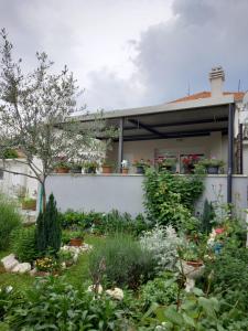 Zahrada ubytování Luxury Apartment Bella