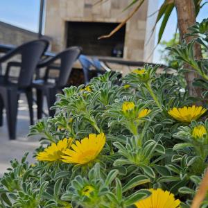 Fotografie z fotogalerie ubytování Villa Silver v destinaci Starigrad-Paklenica