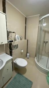 een badkamer met een douche, een toilet en een wastafel bij Stara Čaršija apartman in Sarajevo