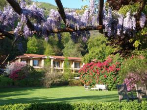 Zahrada ubytování Park Hotel Villa Belvedere