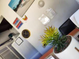 ein Zimmer mit einem Tisch und einer Pflanze darauf in der Unterkunft Hotel J.B. in Zihuatanejo