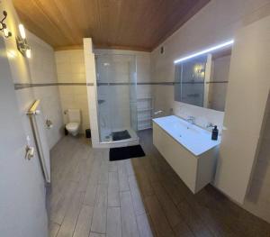 een badkamer met een douche, een wastafel en een toilet bij Un sogno nella natura in Agarone