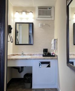 W łazience znajduje się umywalka i lustro. w obiekcie Tay Inn w mieście Perth
