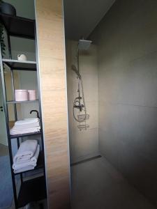 La salle de bains est pourvue d'une douche. dans l'établissement Ferienwohnung Magel, à Waldsolms