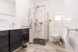 ein Bad mit einer Dusche, einem WC und einem Waschbecken in der Unterkunft Eifel-Apartments Orsfeld in Orsfeld