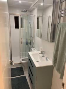 ein Bad mit einem Waschbecken, einer Dusche und einem WC in der Unterkunft Cunit, front line with sea view in Cunit