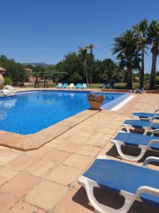 a swimming pool with lounge chairs and palm trees at Masia La Candelera in L'Ametlla de Mar