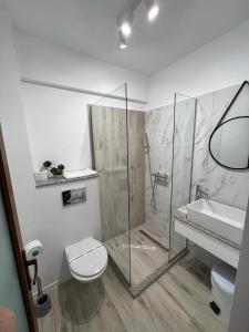 een badkamer met een douche, een toilet en een wastafel bij Atena Hotel in Costinesti
