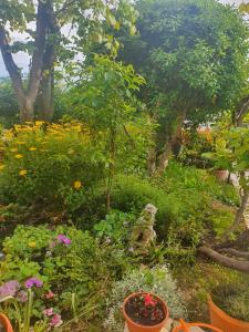 a garden with lots of flowers and plants at APARTMAN MARKO 2 in Novi Vinodolski