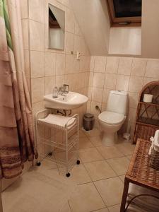 a bathroom with a sink and a toilet at Privat Mária in Liptovský Ján