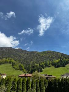 a view of a green hill with houses and trees at Casa Miravalle Mountain Apartments in Enguiso +45 photos