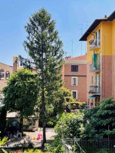 un árbol en un jardín frente a un edificio en Casa Bonita Bolognina en Bolonia
