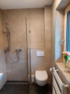 La salle de bains est pourvue de toilettes et d'une douche en verre. dans l'établissement Tristner Appart, à Schwendau