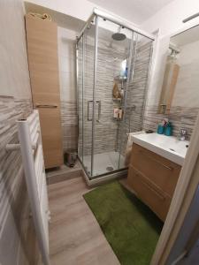 Kylpyhuone majoituspaikassa La Salle les Alpes : Charmant Appartement T2 30 M2