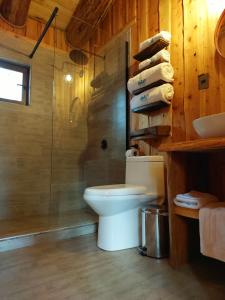 uma casa de banho com um WC e um chuveiro em Patagonia East River em Llanada Grande