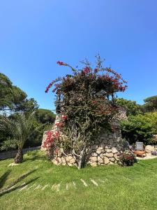 a stone wall with flowers on top of it at Hôtel Ambassador Palombaggia in Porto-Vecchio