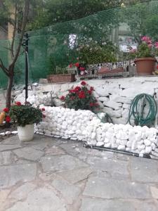 Zahrada ubytování Sofis Garden
