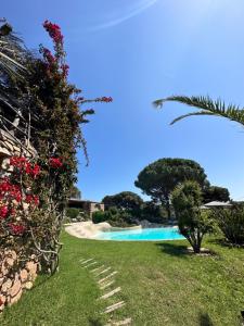 a swimming pool in the middle of a yard at Hôtel Ambassador Palombaggia in Porto-Vecchio