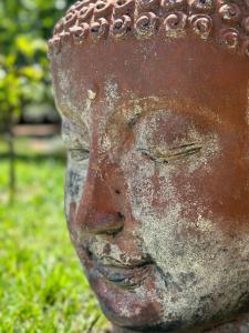 a statue of a head is sitting in the grass at Hôtel Ambassador Palombaggia in Porto-Vecchio