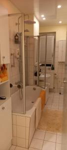 a bathroom with a tub and a shower and a sink at Apartment mit Herz in Sondershausen