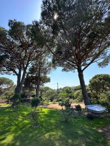 a yard with trees and a boat in the grass at Hôtel Ambassador Palombaggia in Porto-Vecchio