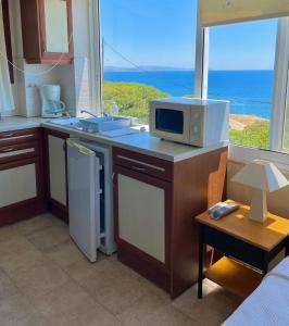 a kitchen with a counter with a microwave and a window at Vasilikos Apartments in Paralia Agias Foteinis