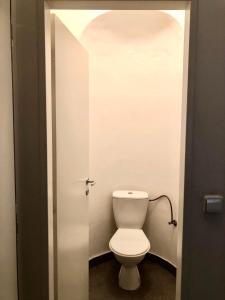 - une salle de bains avec des toilettes blanches dans une cabine dans l'établissement Karlin Cozy Studio, à Prague