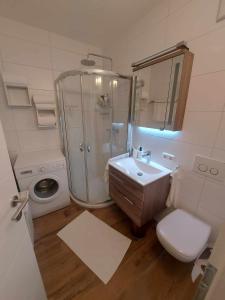 a bathroom with a shower and a toilet and a sink at Ferienwohnung Panoramaglück in Bad Goisern