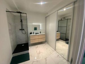 y baño con ducha, lavabo y espejo. en Appart 1 chambre neuf confort, en Rouen