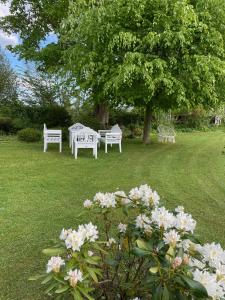 three white benches sitting in the grass under a tree at Dobbeltværelse i smuk palævilla in Stenstrup