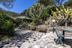 un patio con tavolo, sedie e cactus di Il Giardino tra Cielo e Mare a Portovenere