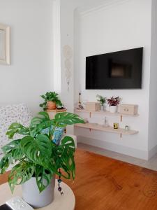 Zdjęcie z galerii obiektu Apartamento ALMA w mieście Conil de la Frontera