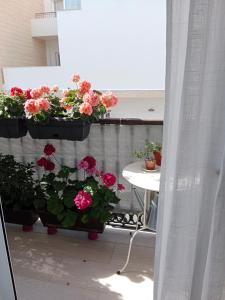 Zdjęcie z galerii obiektu Apartamento ALMA w mieście Conil de la Frontera