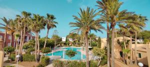een luchtzicht op een zwembad van het resort met palmbomen bij Casita Vista Mar Duplex - Son Xoriguer in Son Xoriguer