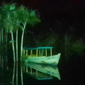 a painting of a boat next to two palm trees at Suíte BOTOS DE ALTER in Alter do Chao