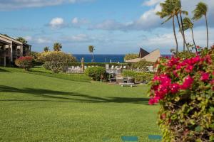 a view of a lawn with a house and the ocean at Hale Kamaole in Wailea