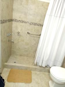布蘭卡港的住宿－Departamento Plaza，带淋浴、卫生间和浴帘的浴室