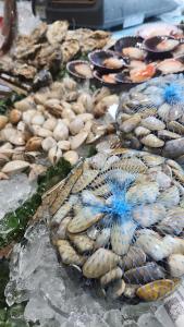 una exposición de mariscos y ostras en hielo en Casa Maite, en Palamós