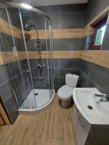 a bathroom with a shower and a toilet and a sink at Chatka pod orzechem in Spytkowice