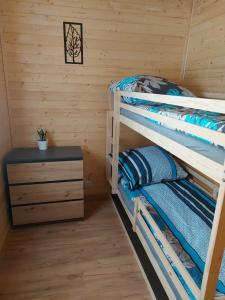 Spytkowice的住宿－Chatka pod orzechem，小木屋内的双层床,设有床头柜