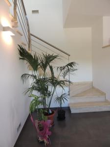 a hallway with two potted plants and stairs at Ross House in Fermo