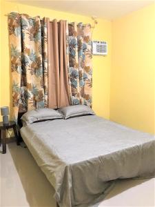 a bedroom with a bed with a curtain and a window at Affordable Whole House Rent Transient in Butuan